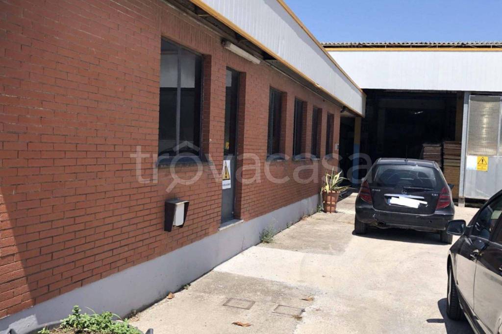 immagine annuncio 2 di 3