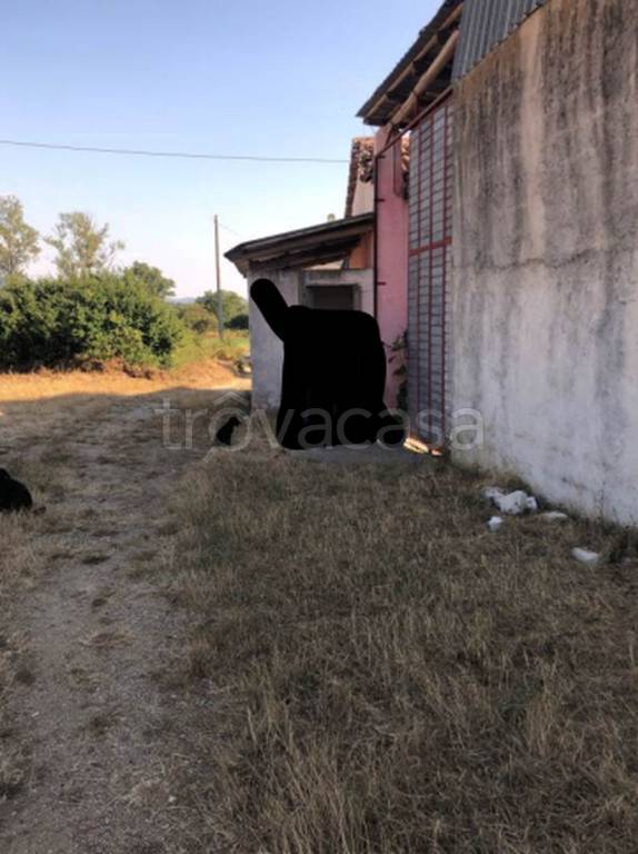 immagine annuncio 5 di 11