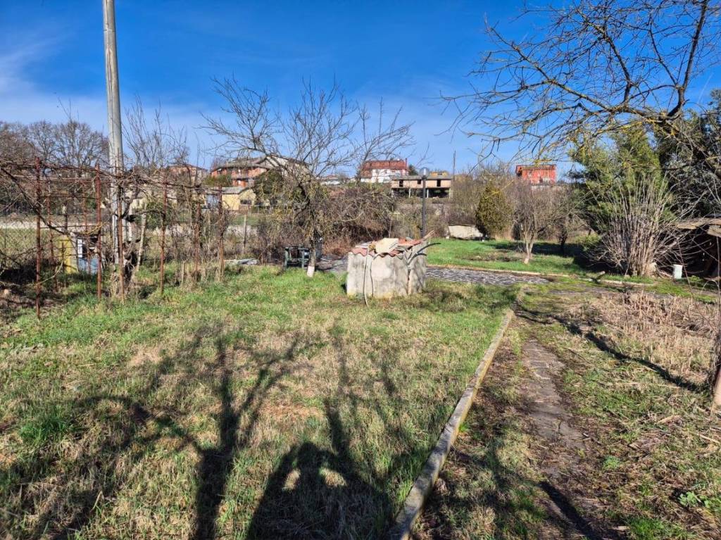 immagine annuncio 2 di 11