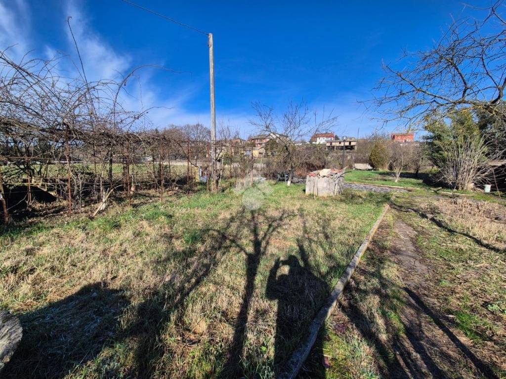 immagine annuncio 3 di 11