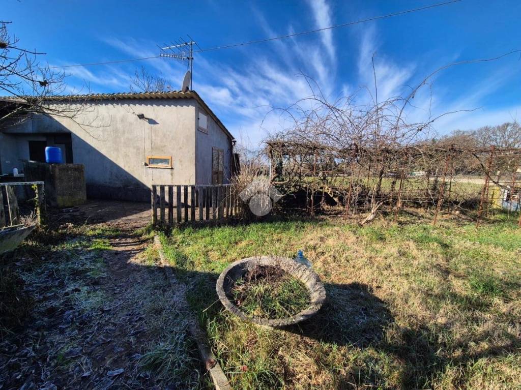 immagine annuncio 4 di 11