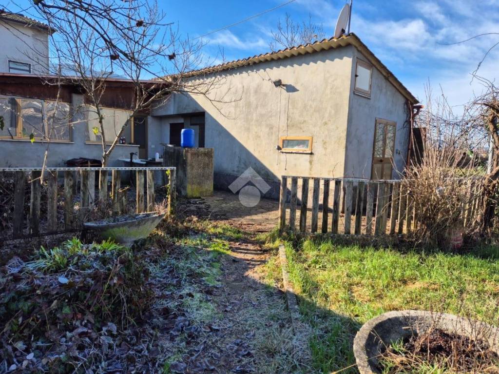 immagine annuncio 5 di 11