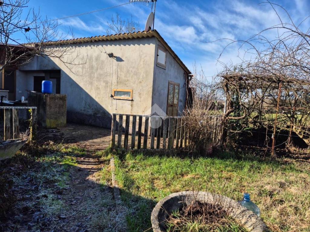 immagine annuncio 6 di 11