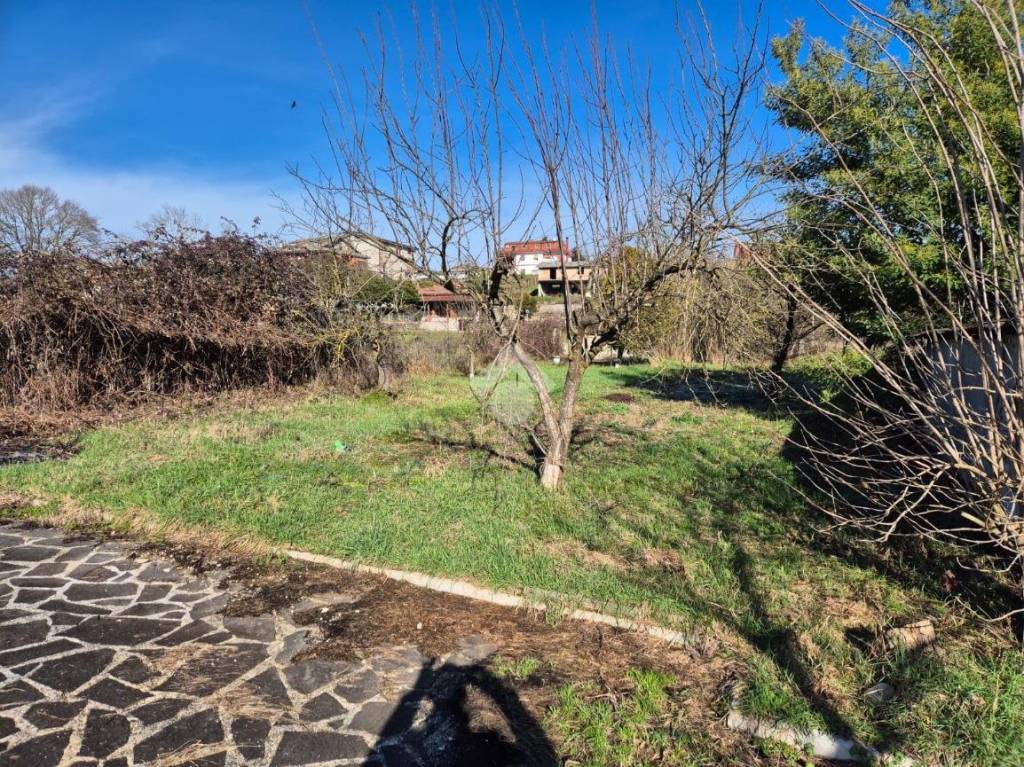 immagine annuncio 7 di 11