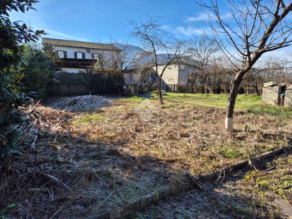 immagine annuncio 8 di 11