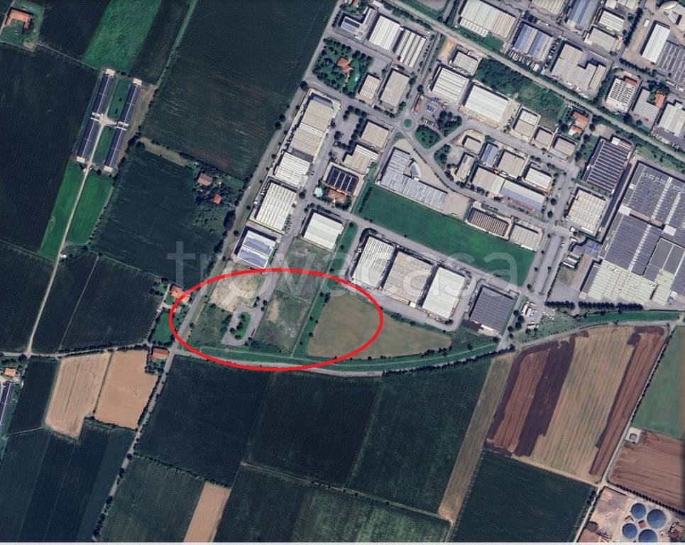 immagine annuncio 6 di 12