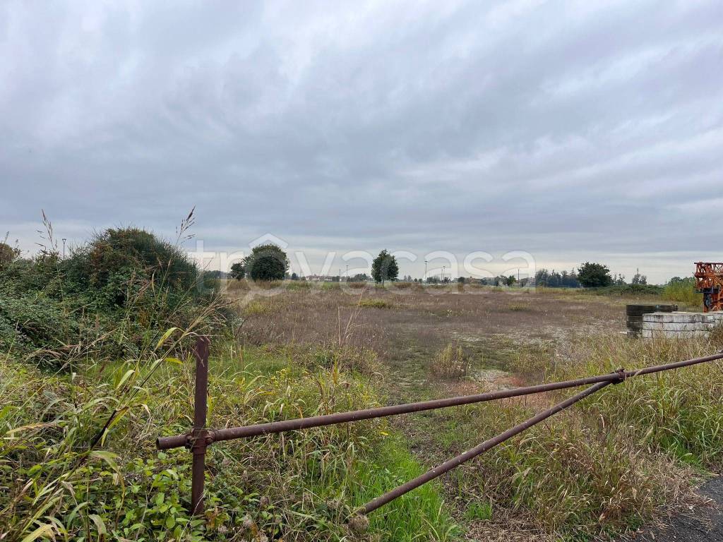 immagine annuncio 8 di 12