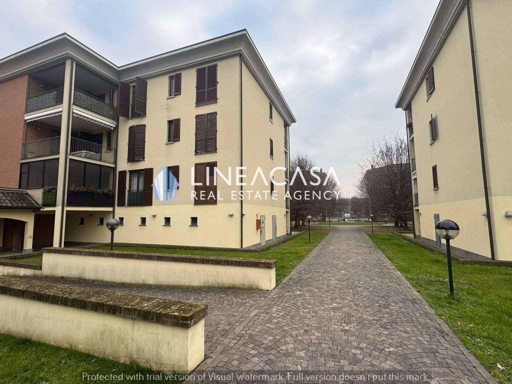 immagine annuncio 12 di 15