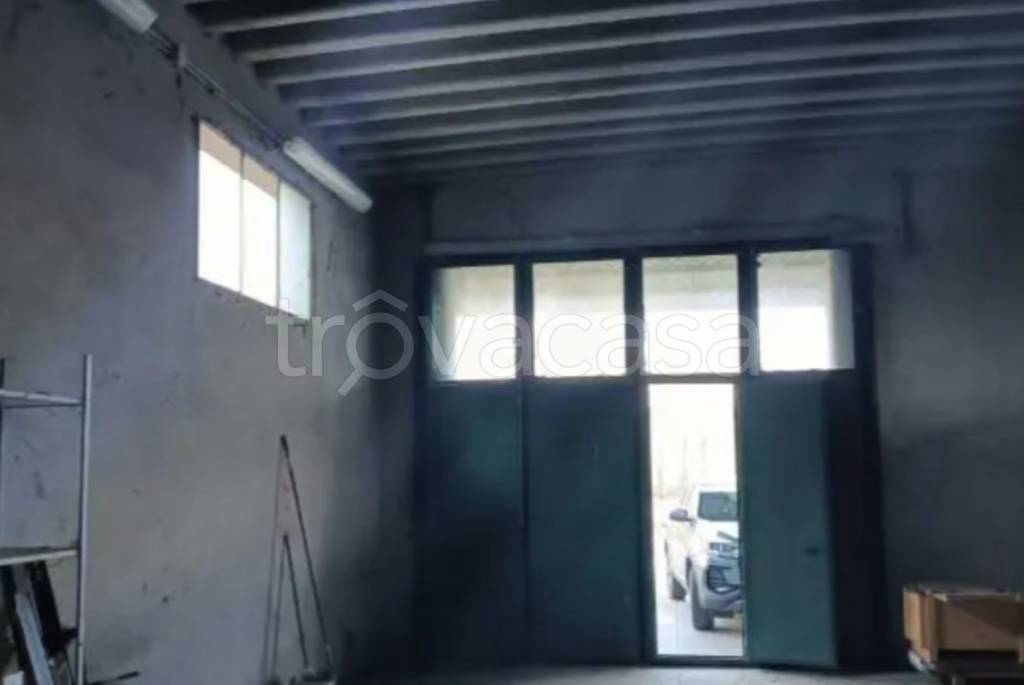 immagine annuncio 2 di 12