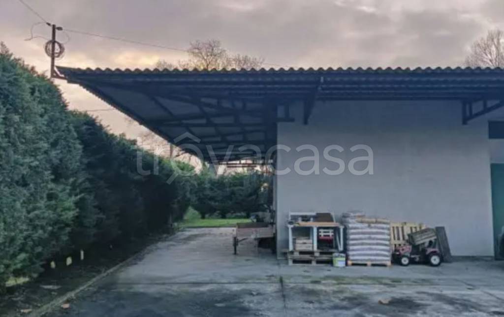 immagine annuncio 5 di 12