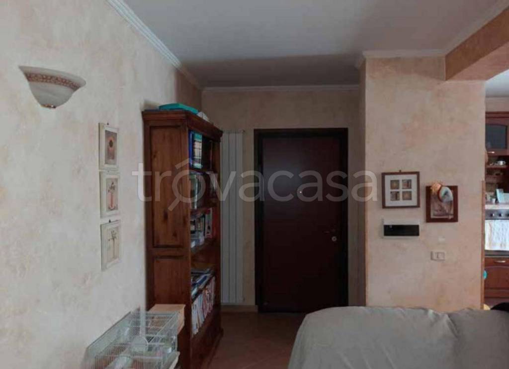 immagine annuncio 9 di 14