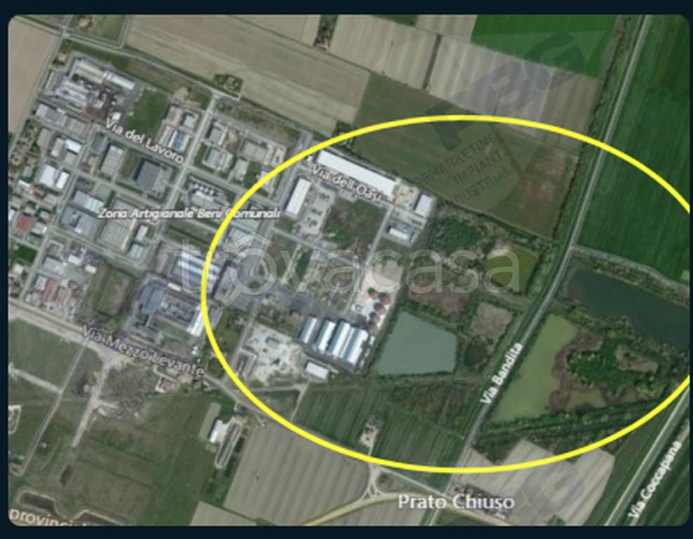 immagine annuncio 2 di 12