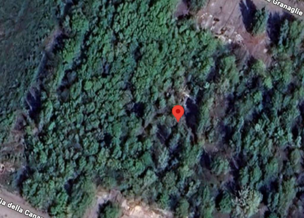 immagine annuncio 5 di 11