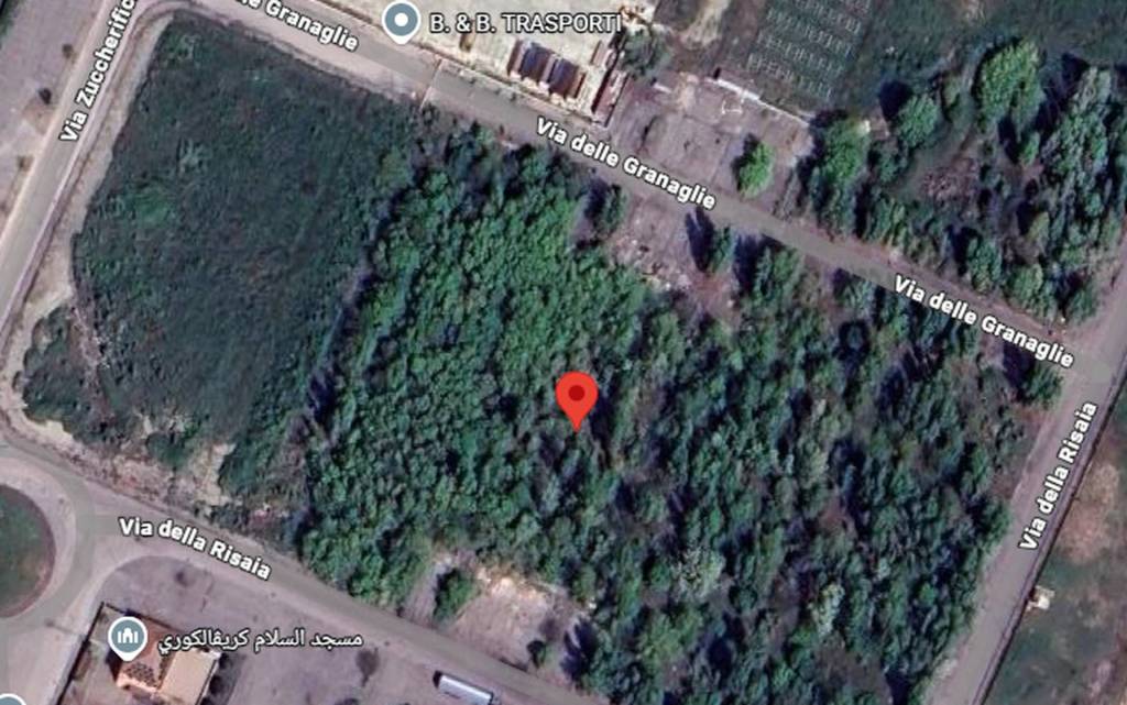 immagine annuncio 6 di 11