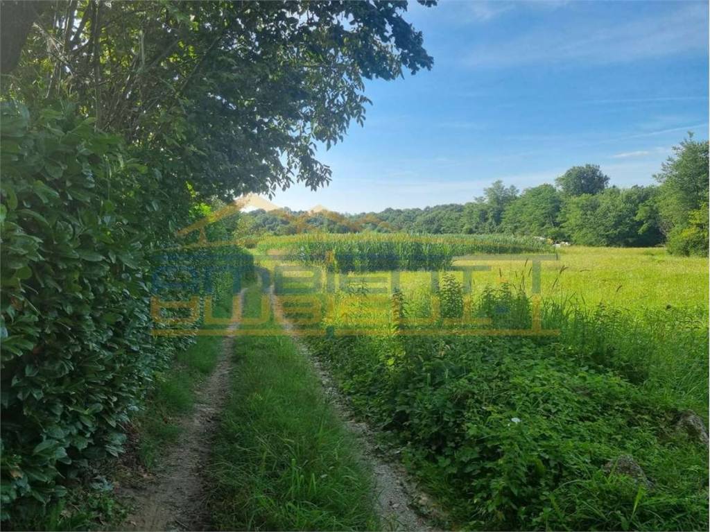 immagine annuncio 2 di 12