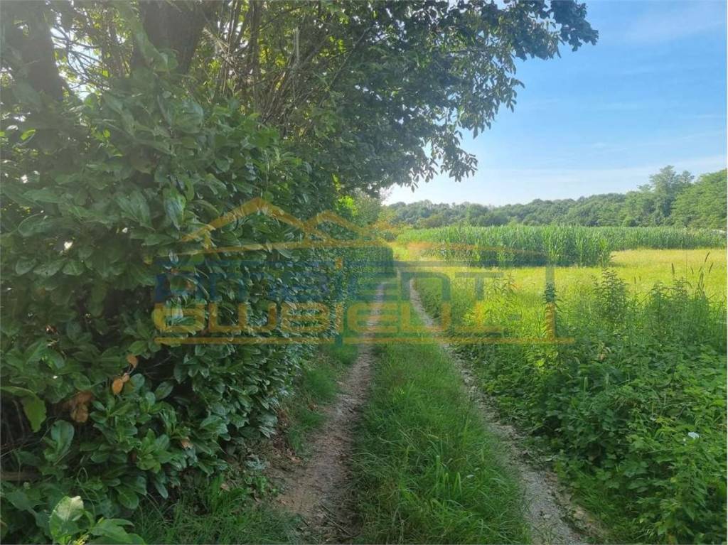 immagine annuncio 3 di 12