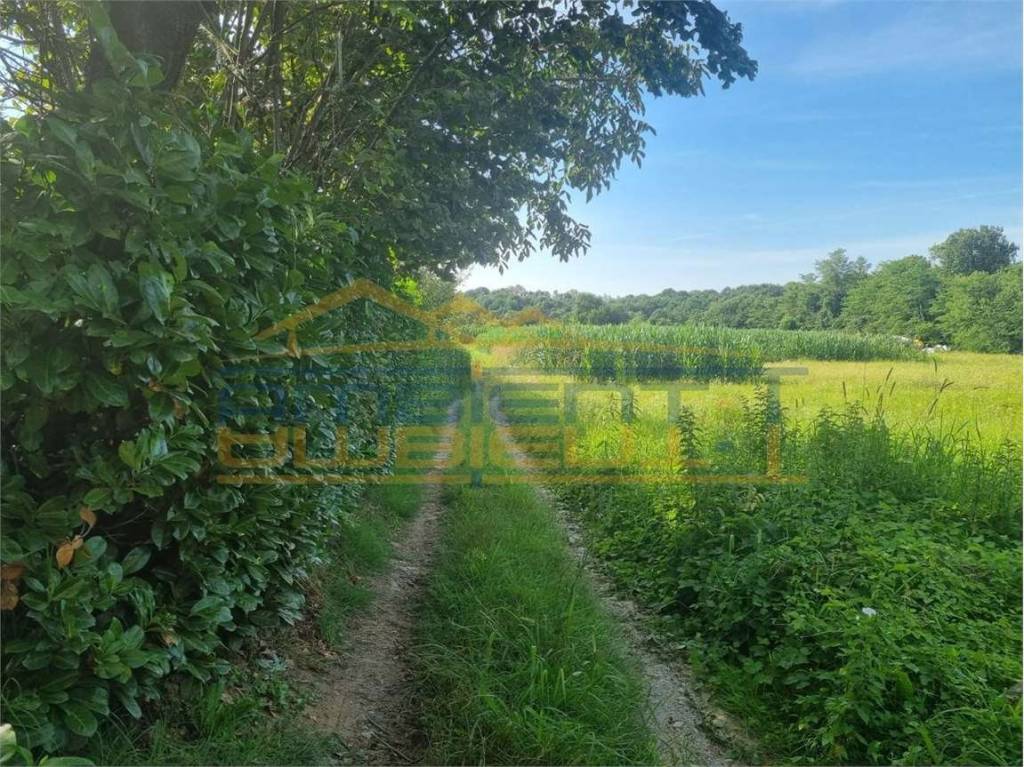 immagine annuncio 4 di 12