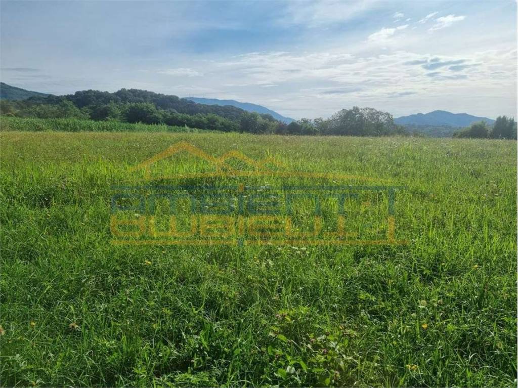 immagine annuncio 5 di 12