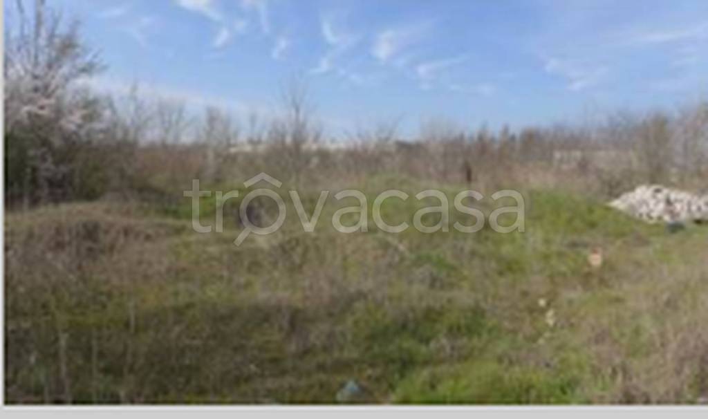 immagine annuncio 5 di 11