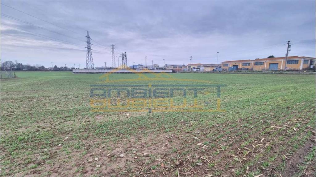 immagine annuncio 4 di 12