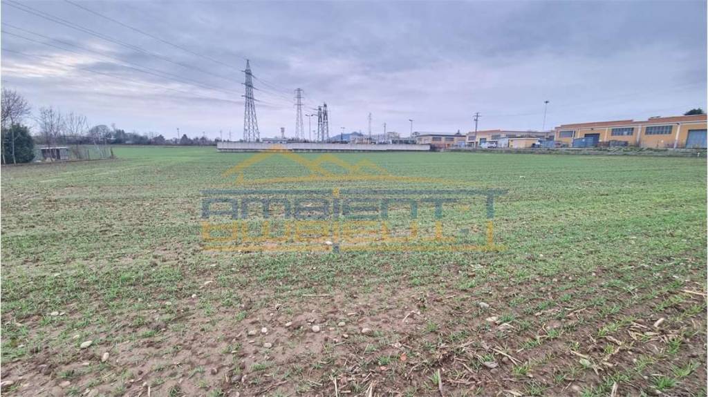 immagine annuncio 6 di 12