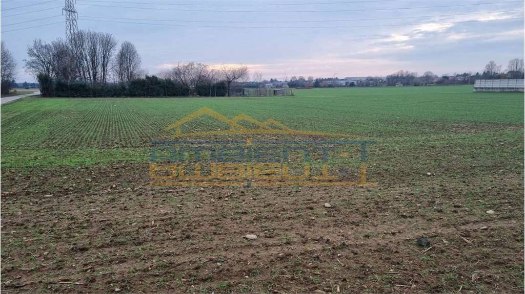 immagine annuncio 7 di 12