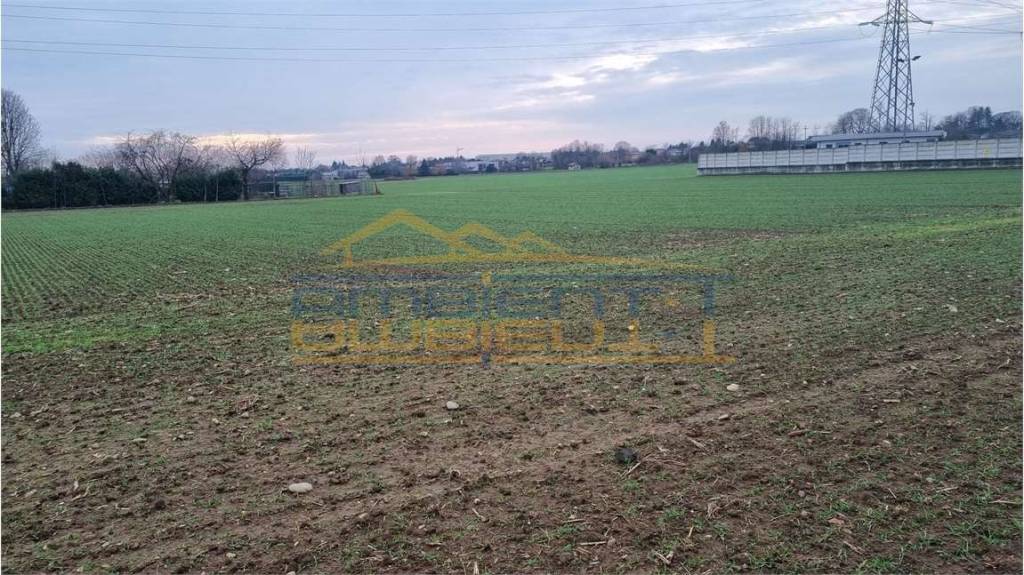 immagine annuncio 8 di 12