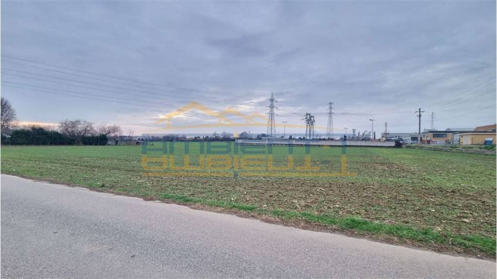 immagine annuncio 10 di 12