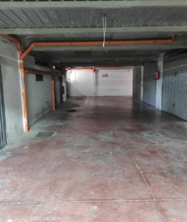 immagine annuncio 12 di 14