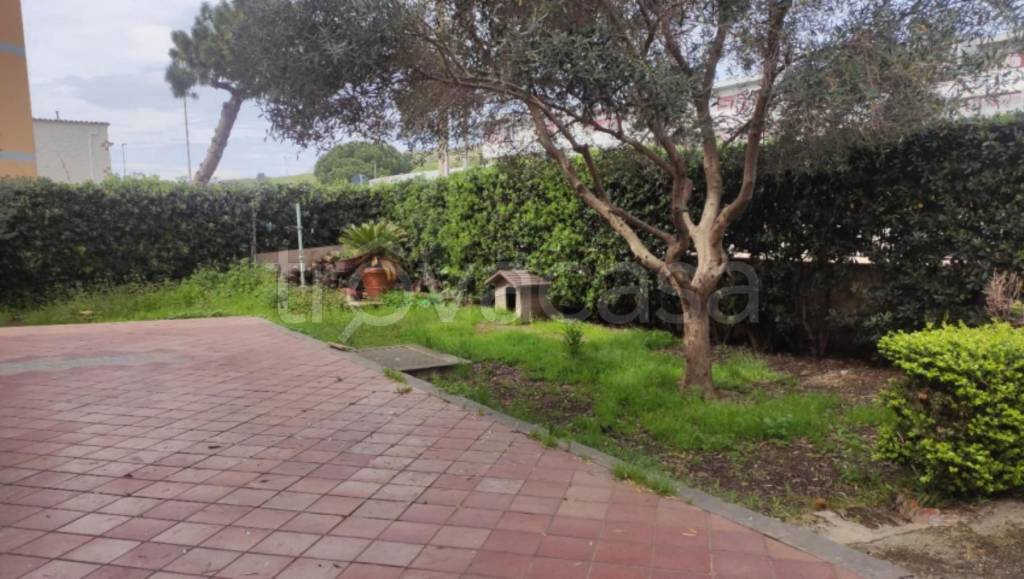 immagine annuncio 11 di 14