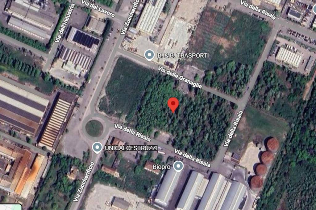 immagine annuncio 6 di 12