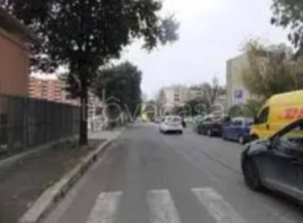 immagine annuncio 2 di 12