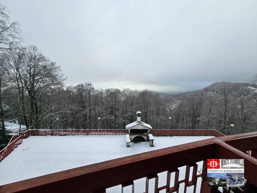 immagine annuncio 11 di 14