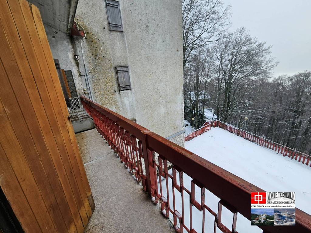 immagine annuncio 12 di 14