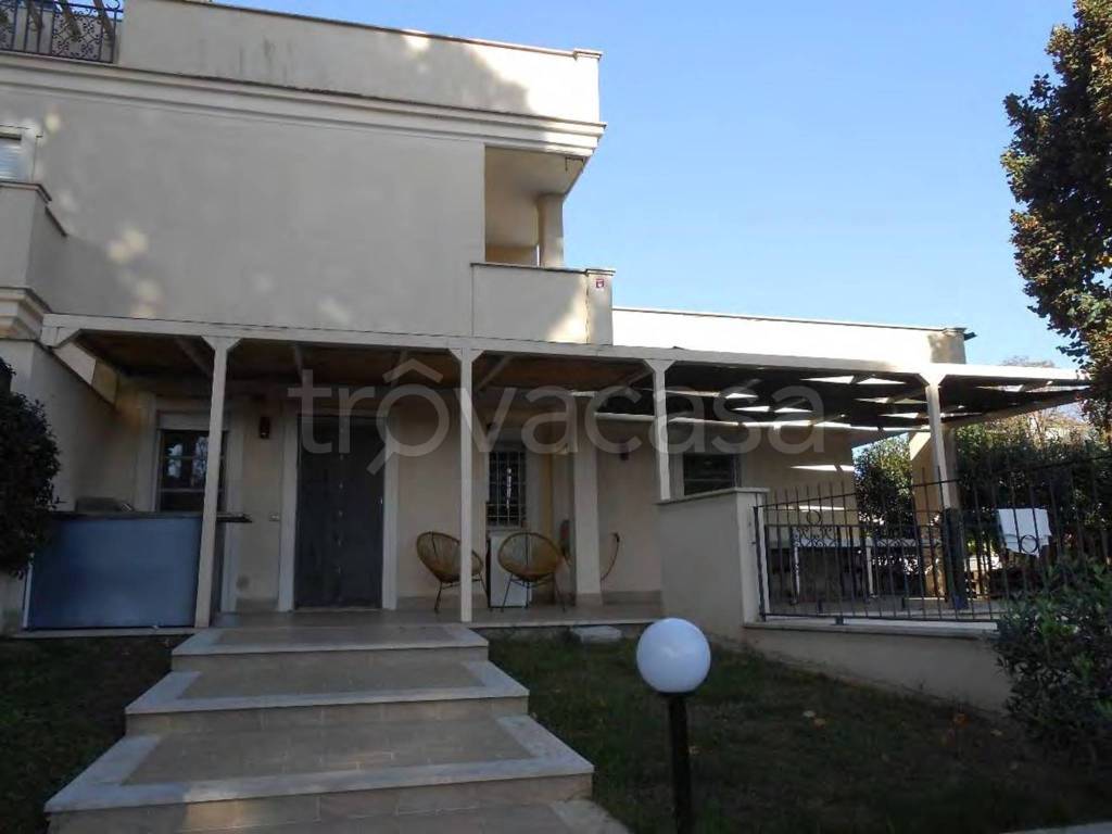 immagine annuncio 5 di 12