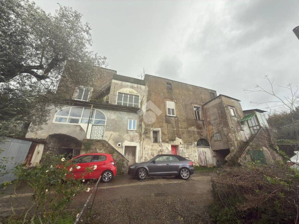 immagine annuncio 6 di 14