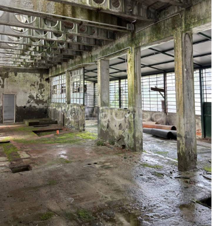 immagine annuncio 4 di 12