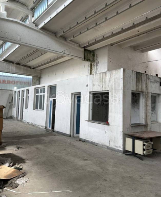 immagine annuncio 5 di 12