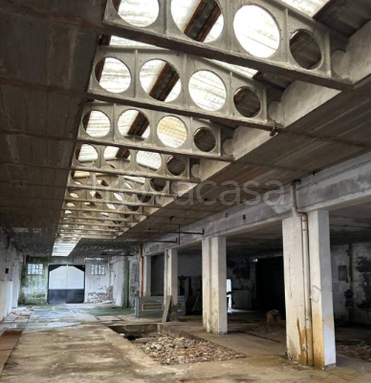 immagine annuncio 6 di 12