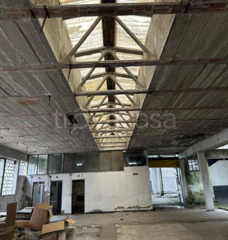 immagine annuncio 7 di 12