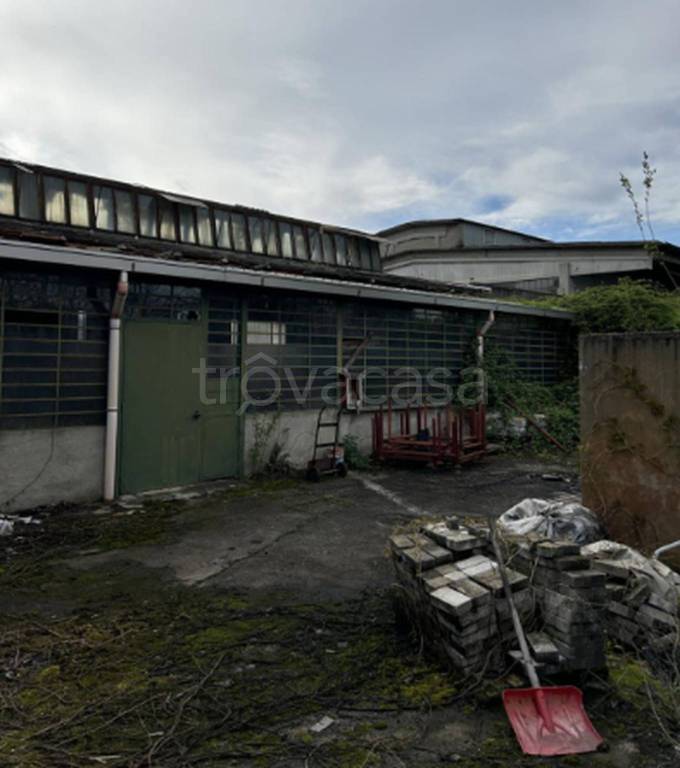 immagine annuncio 8 di 12