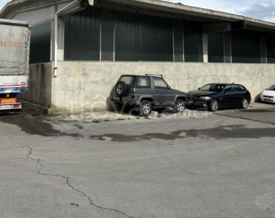 immagine annuncio 9 di 12