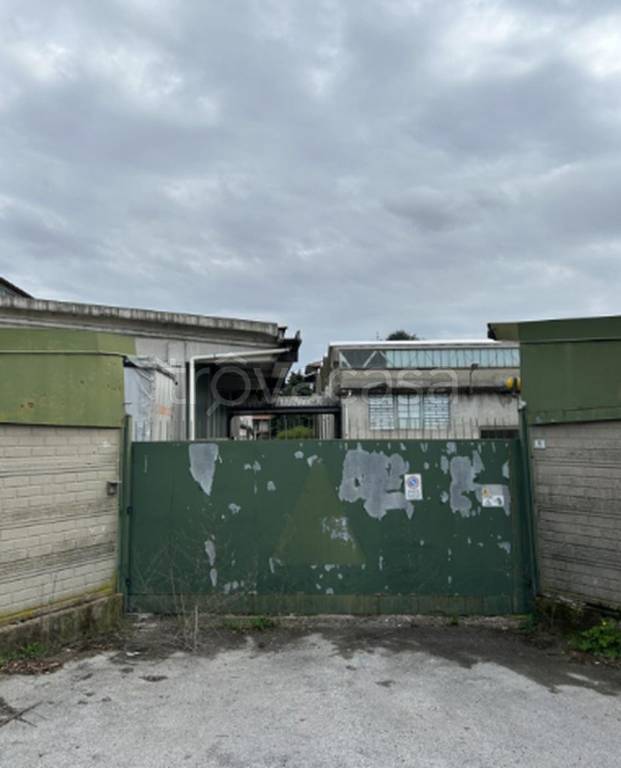 immagine annuncio 11 di 12