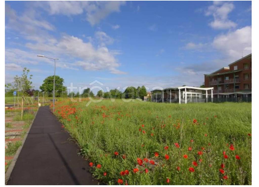 immagine annuncio 2 di 12