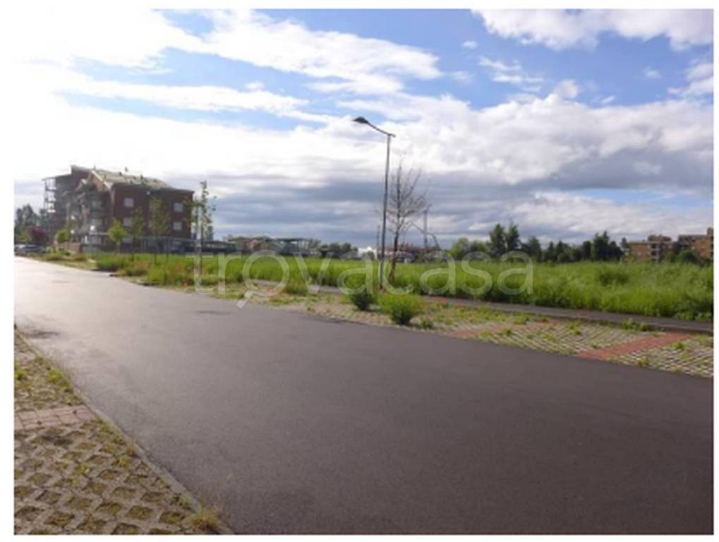 immagine annuncio 3 di 12