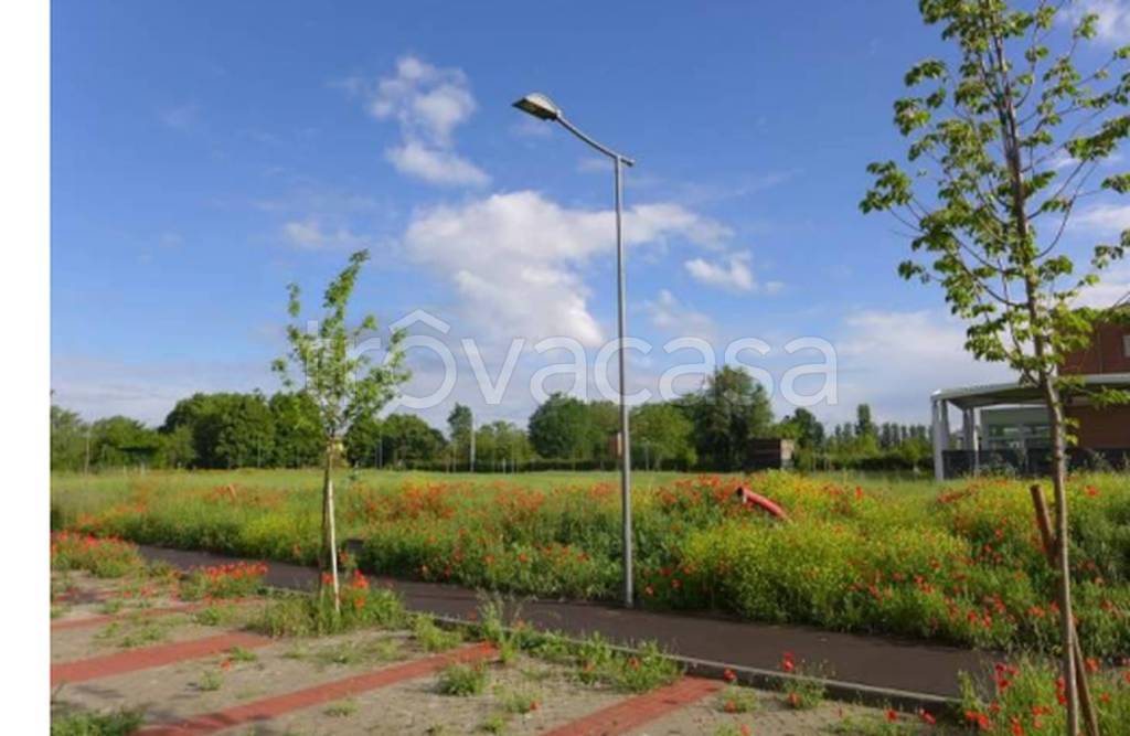 immagine annuncio 3 di 12