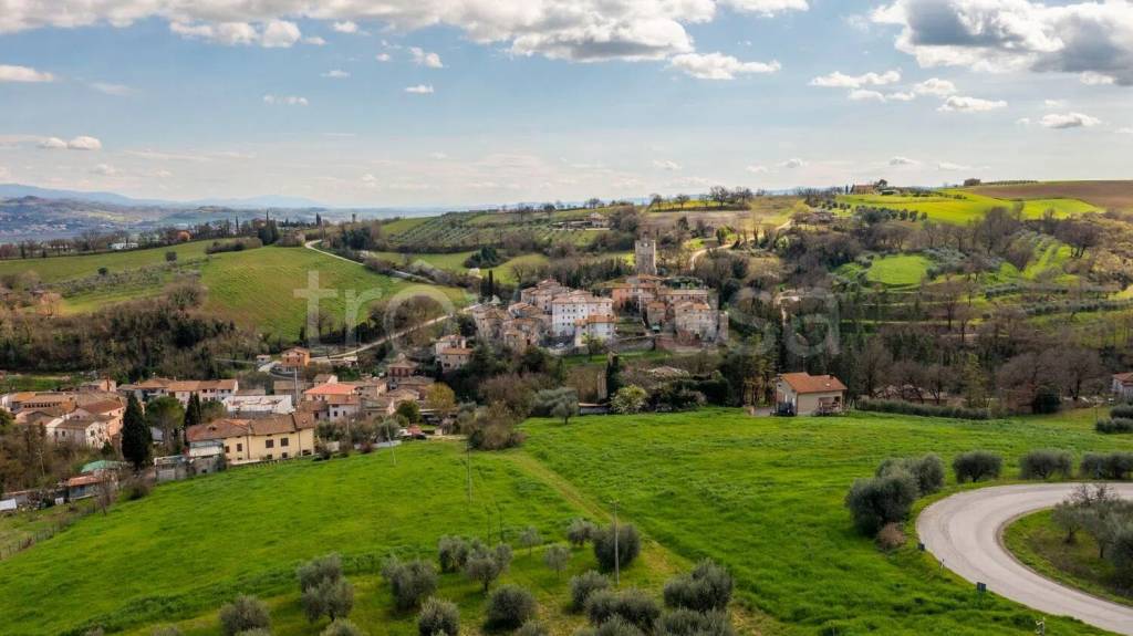 immagine annuncio 5 di 8