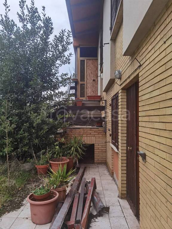 immagine annuncio 3 di 12