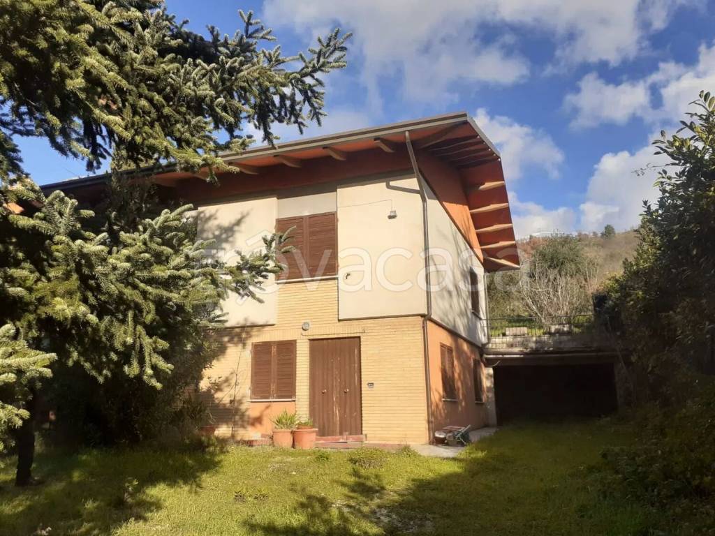 immagine annuncio 7 di 12