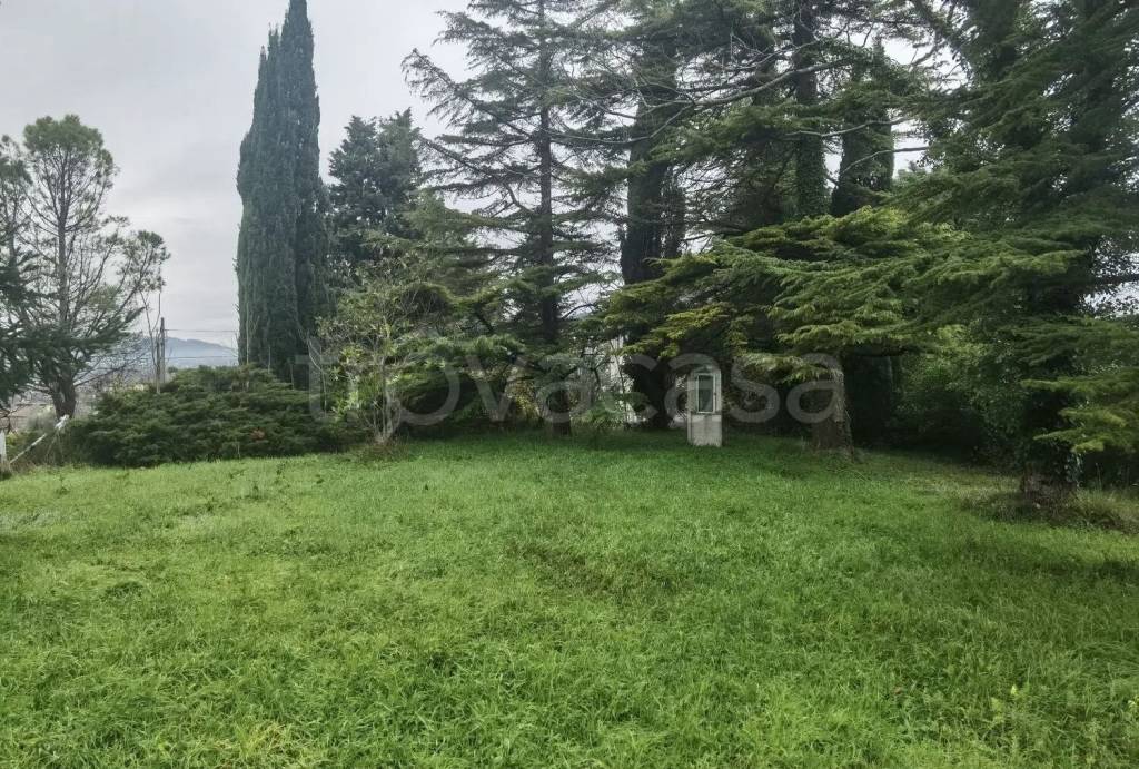 immagine annuncio 9 di 12